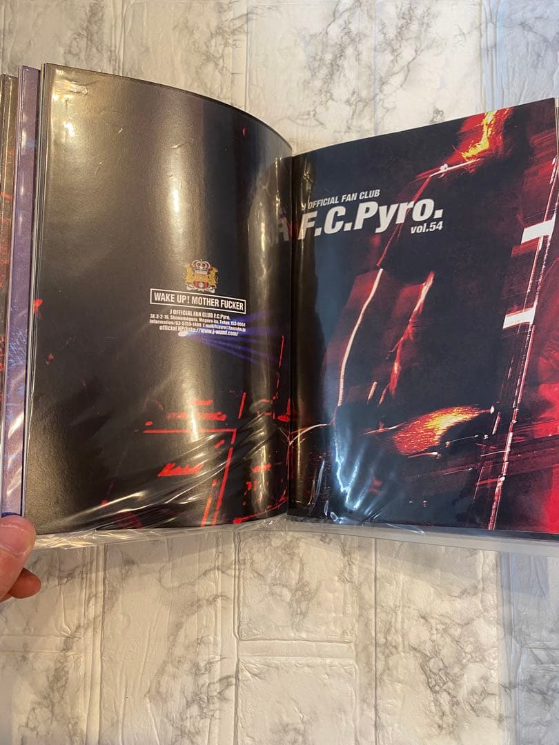 会報ファイル 5冊 会報vol.1-66LUNA SEA J 6と9欠品