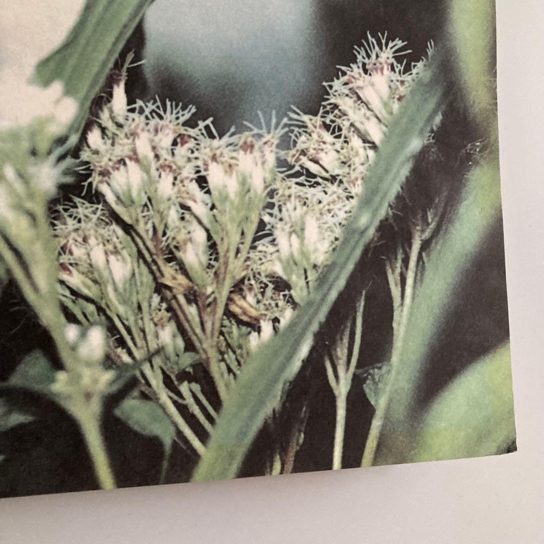 映画 DISTANCE ディスタンス B2ポスター 是枝裕和