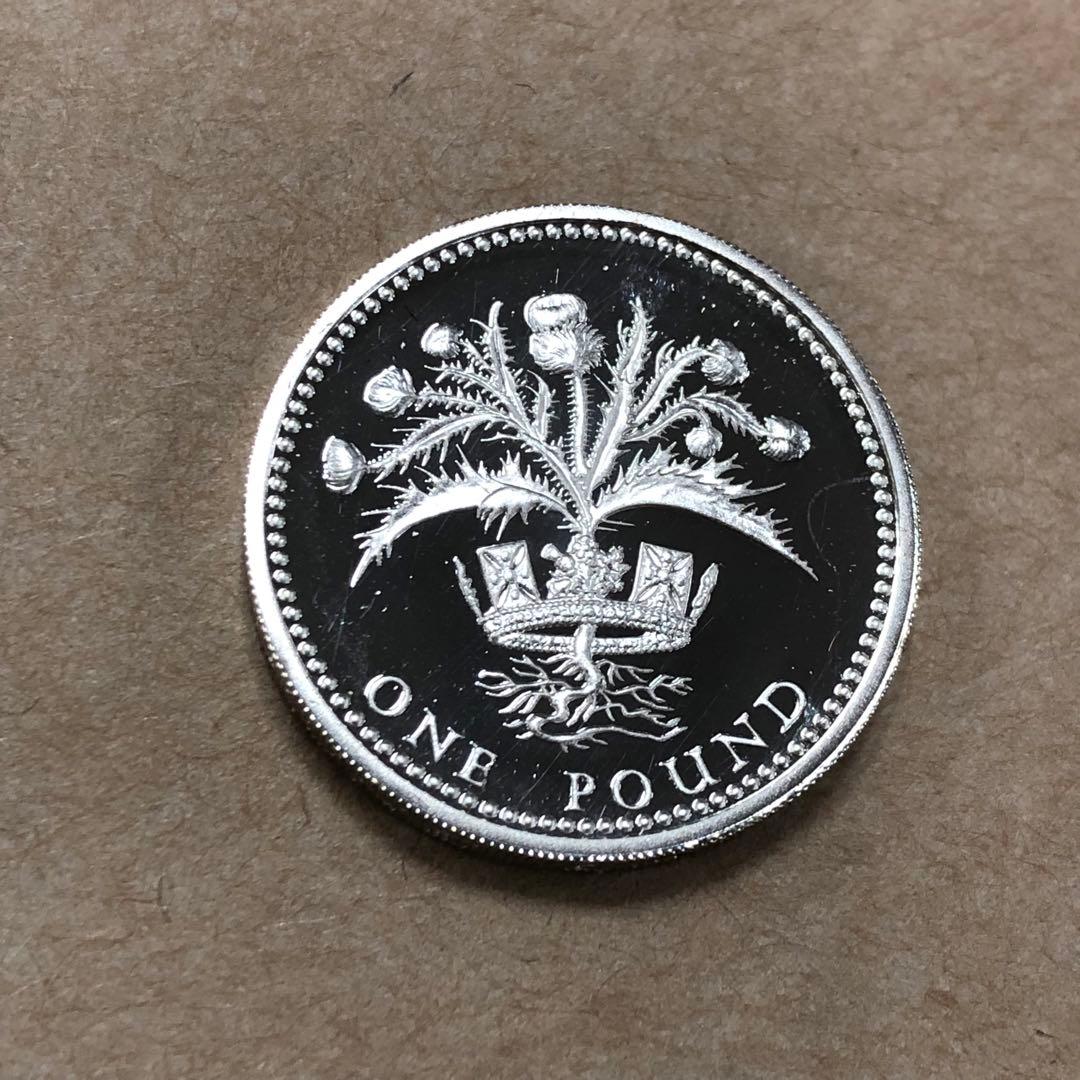 2268.【イギリス】1984年1ポンド銀貨　希少　古銭　　プルーフ硬貨