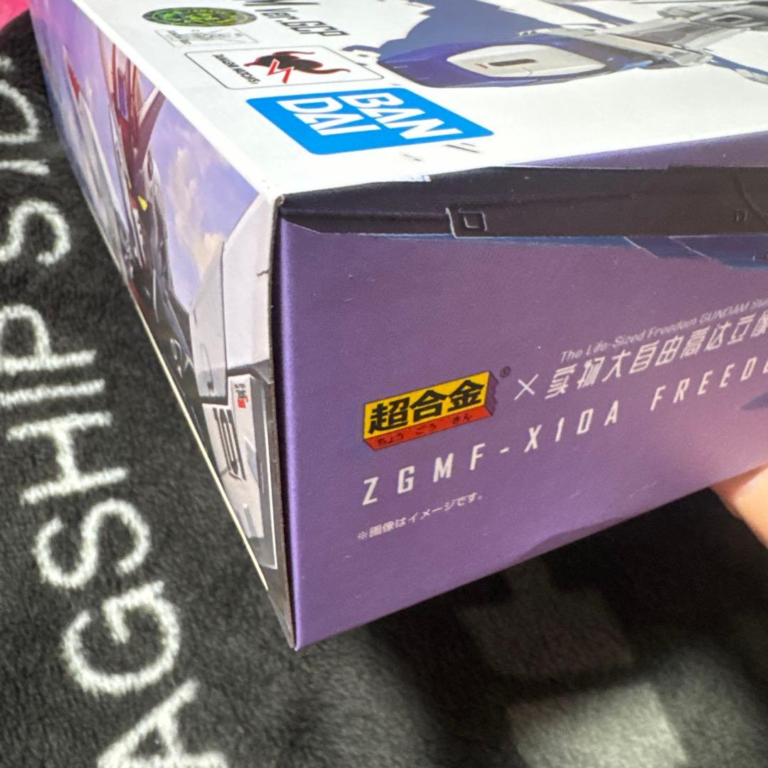 コミック・アニメ ZGMF-X10A FREEDOM GUNDAM Ver.GCP