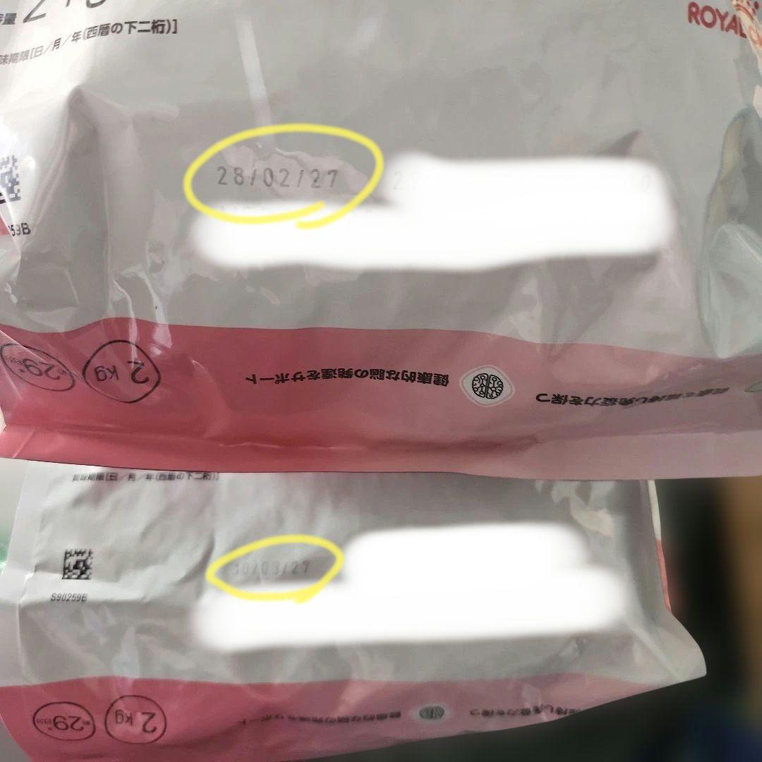 新品　ロイヤルカナン　猫　子猫前期　成長前期の子猫用　2kg×2袋セット　キトン