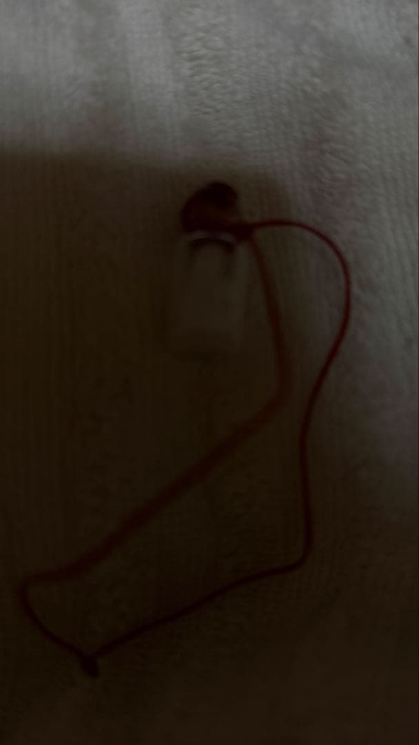 専用様✨フランス✨浄化アイテム