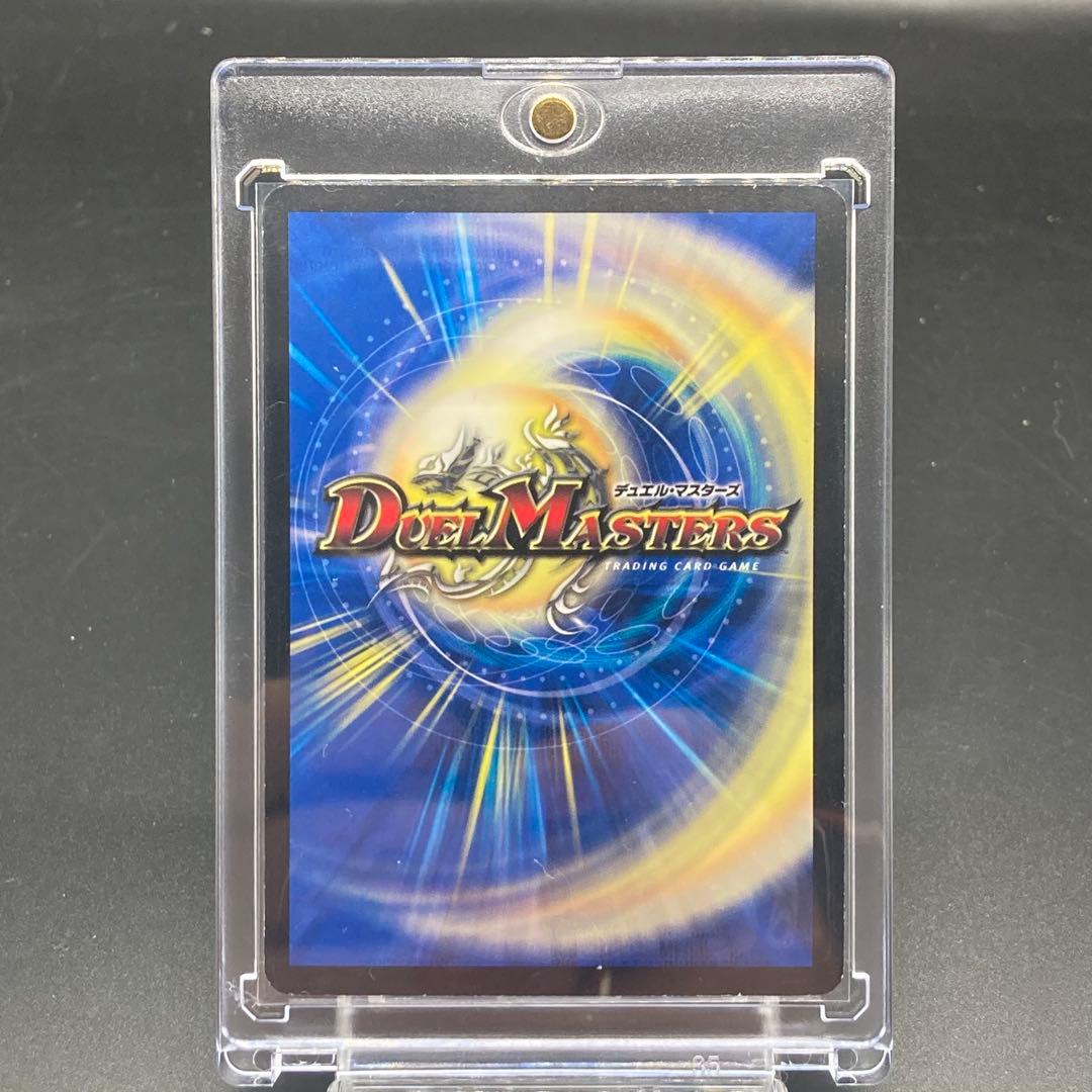 旧枠SR キングアルカディアス仮面S3/S5/Y6 美品　ワンオーナー