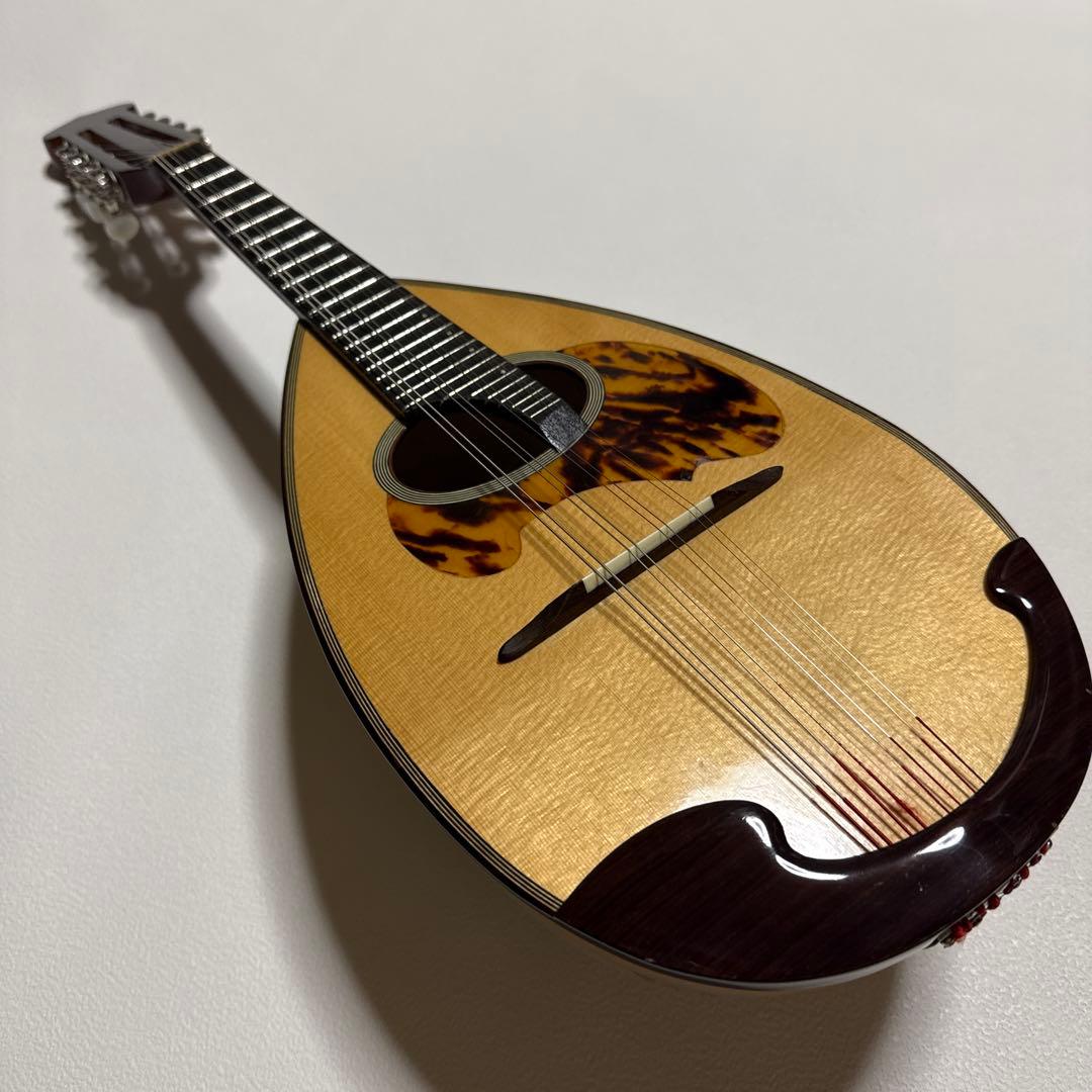 石川捷二郎監修 Venezia マンドリン M-50