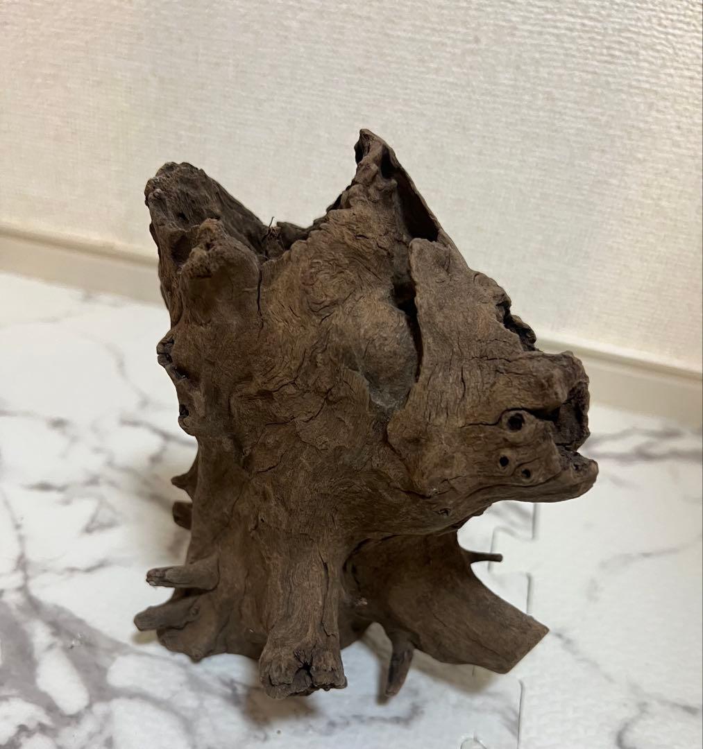 美品 GEX エキゾテラ グラステラリウム 3030 爬虫類 ガラス ケージ