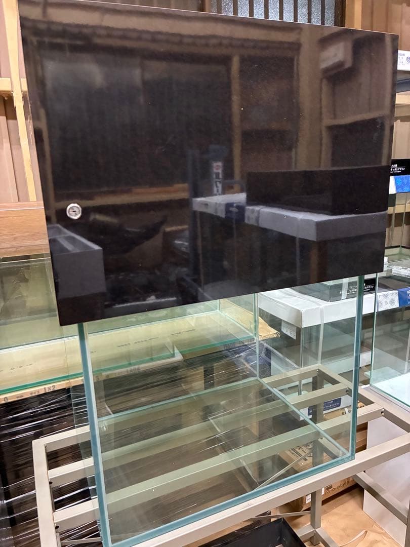 60cmハイタイプ水槽＋水槽カバー 発送不可！