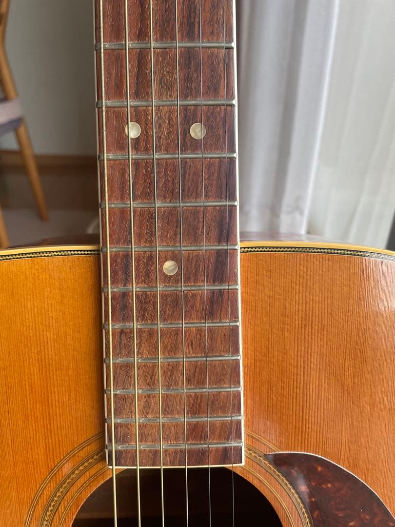 アコースティックギター スズキバイオリン製　SHREE S ギグバッグセット