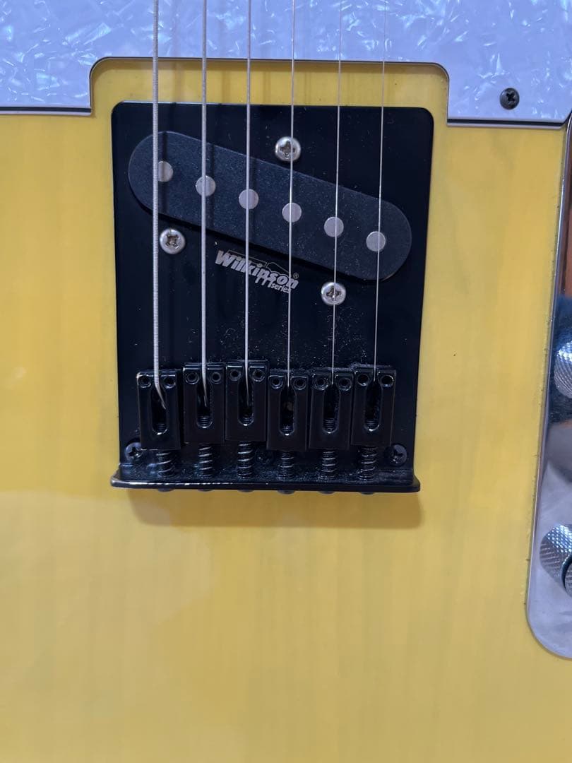 （価格相談のります）Bacchus Universe Series エレキギター