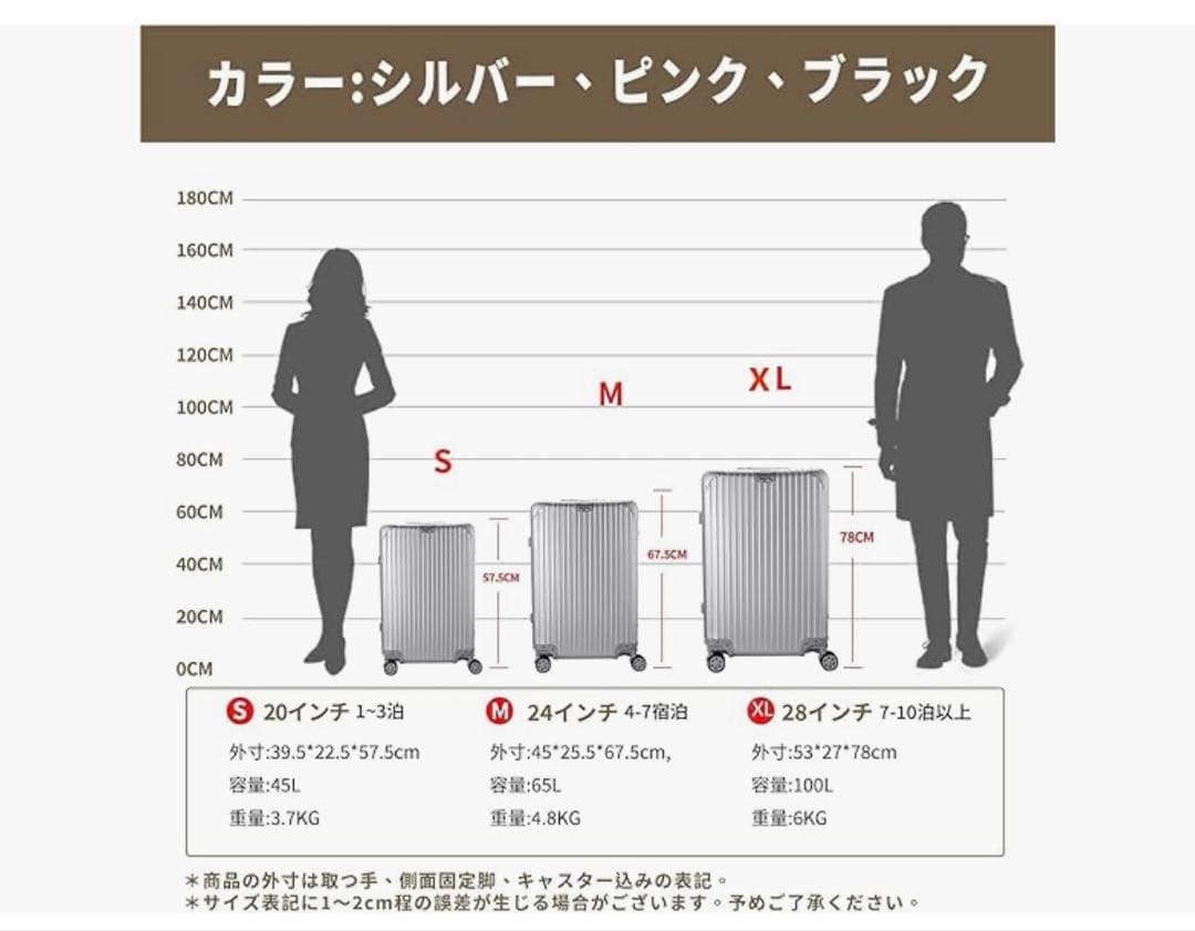 大特価❣️美品❣️キャリーバッグ軽量S サイズ(Small, Silver)