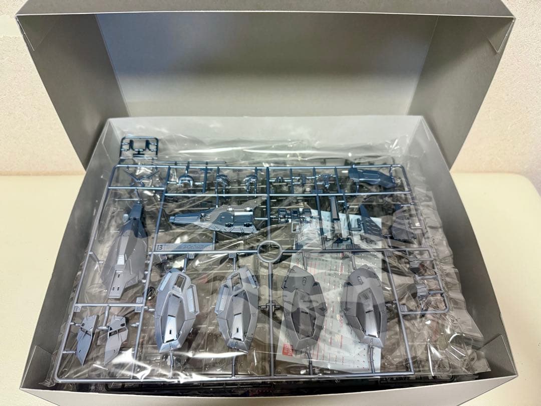 【新品未開封品】 MG プロヴィデンスガンダム スペシャルコーティング 2次