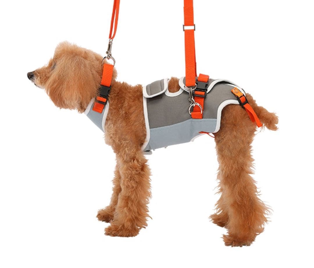 試着のみ　美品 LaLa Walk 歩行補助ハーネス M 小型犬.ダックス用