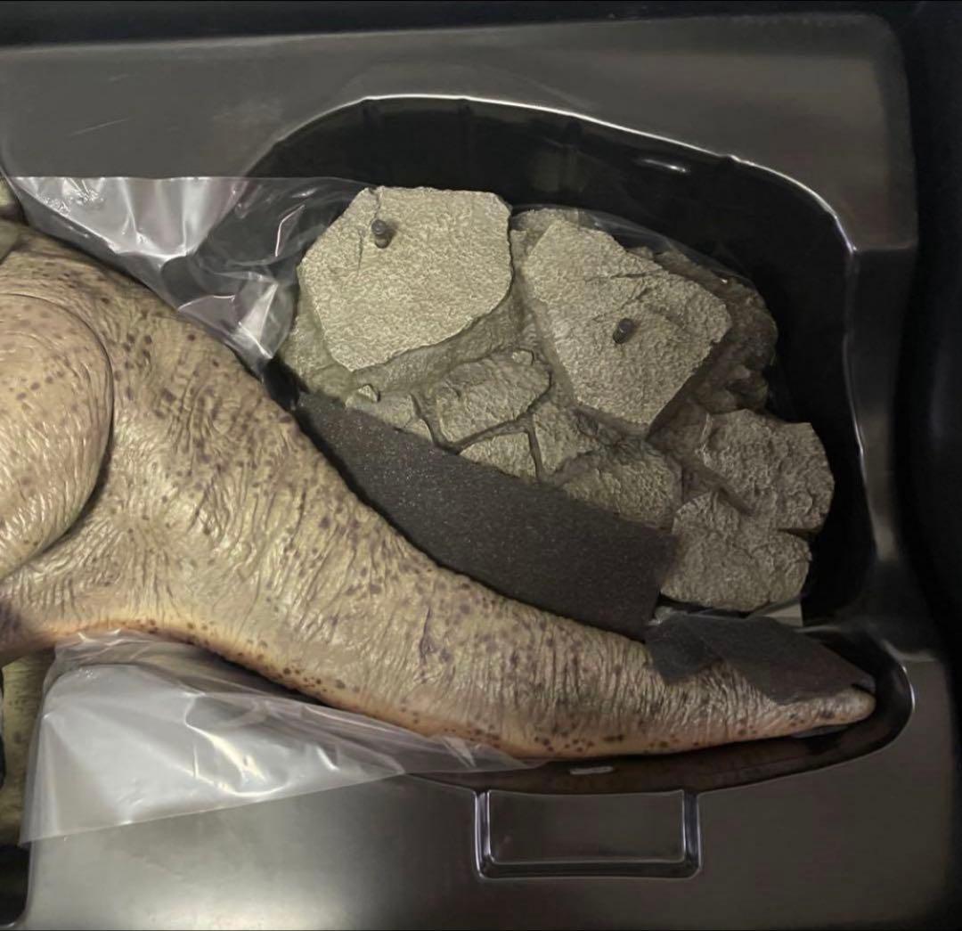 【未展示】マンダロリアン＆ブラーグ（２体セット）　ホットトイズ　TM 046