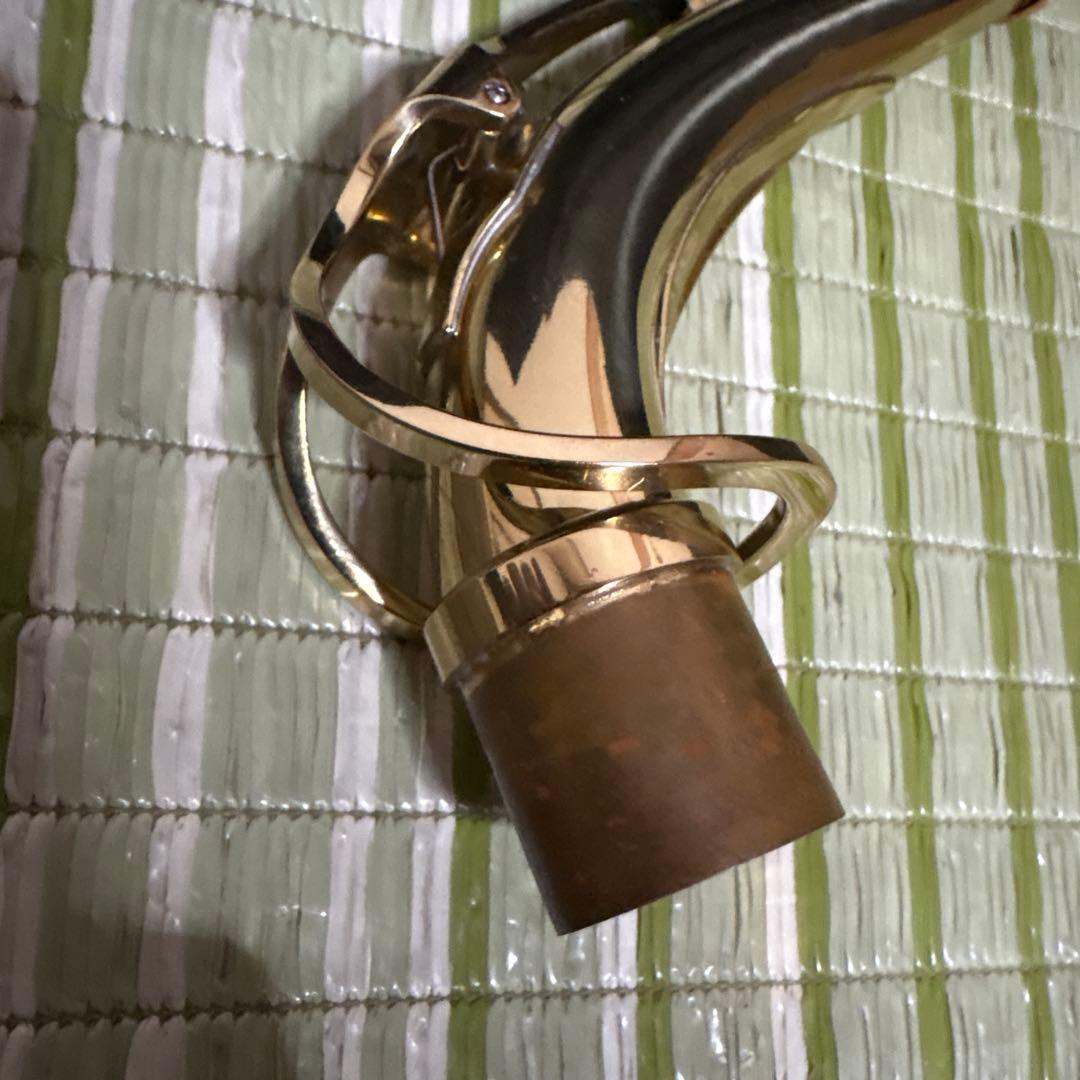 SELVA セルバ アルトサックス SAS-100 ケース付き　管楽器　音楽