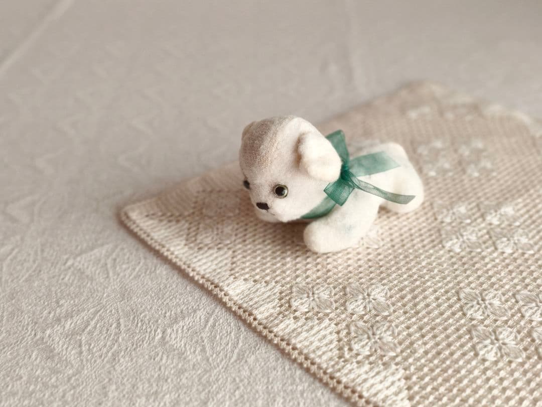 【チョコメルさま】vintage cat ୨୧ ベイビーフェイス 猫ちゃん