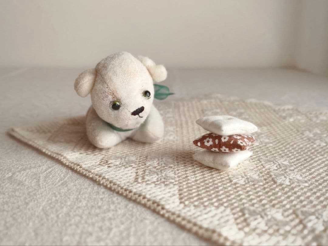 【チョコメルさま】vintage cat ୨୧ ベイビーフェイス 猫ちゃん