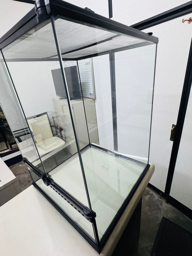 グラステラリウム 4560 【直接引き取り可】