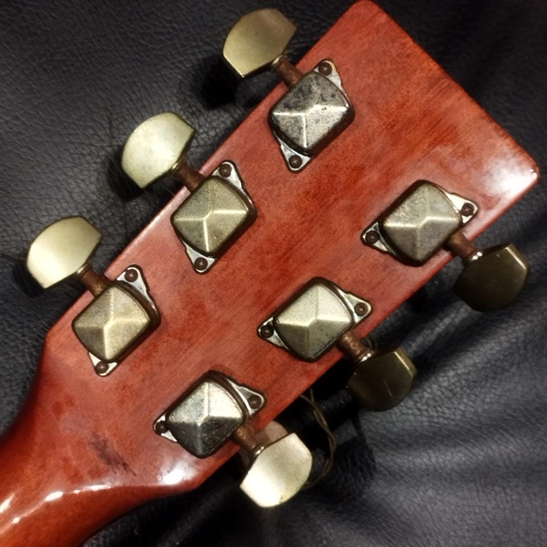 History　アコースティックギター