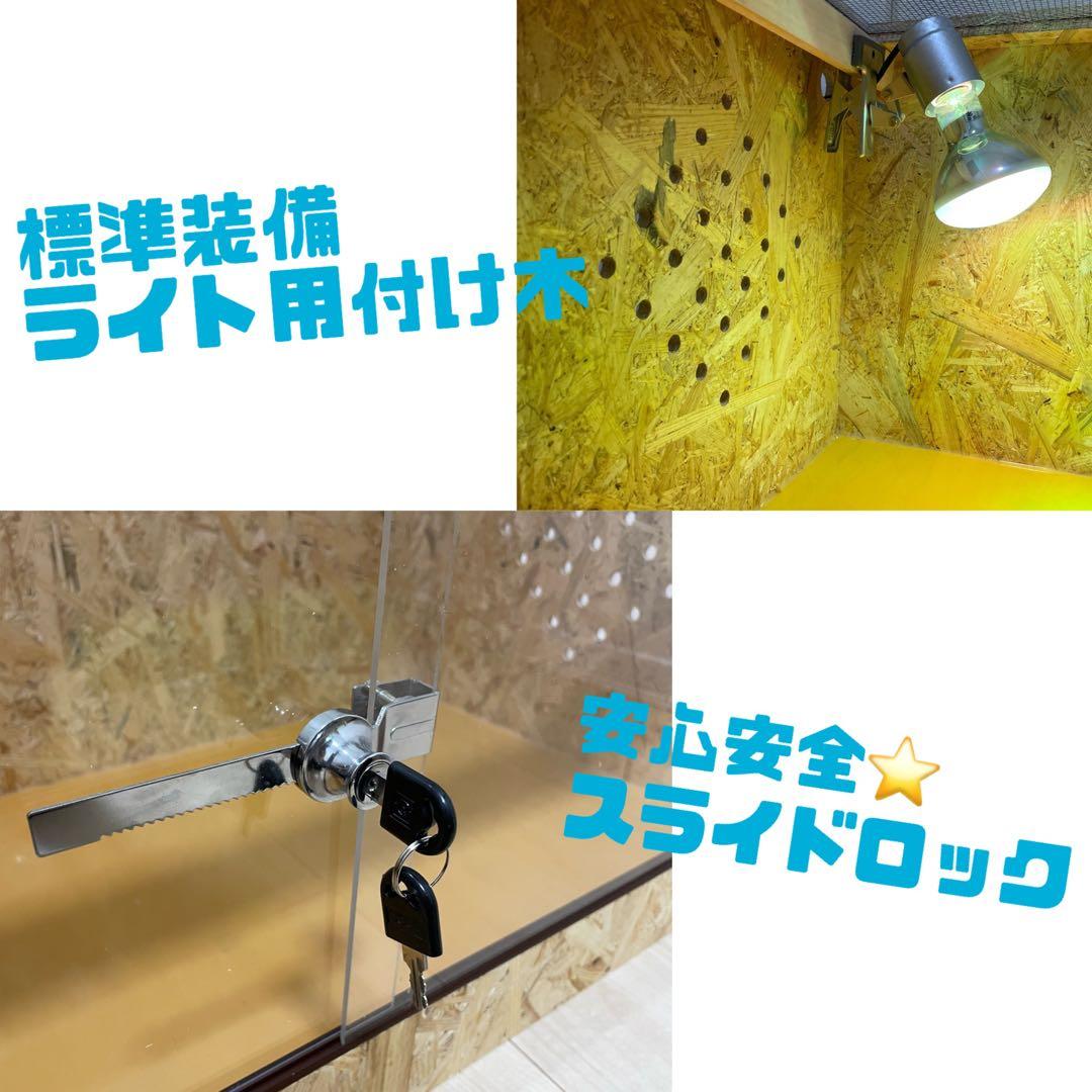 爬虫類ケージ　爬虫類木製ケージ　90ラック用サイズ　天井金網仕様