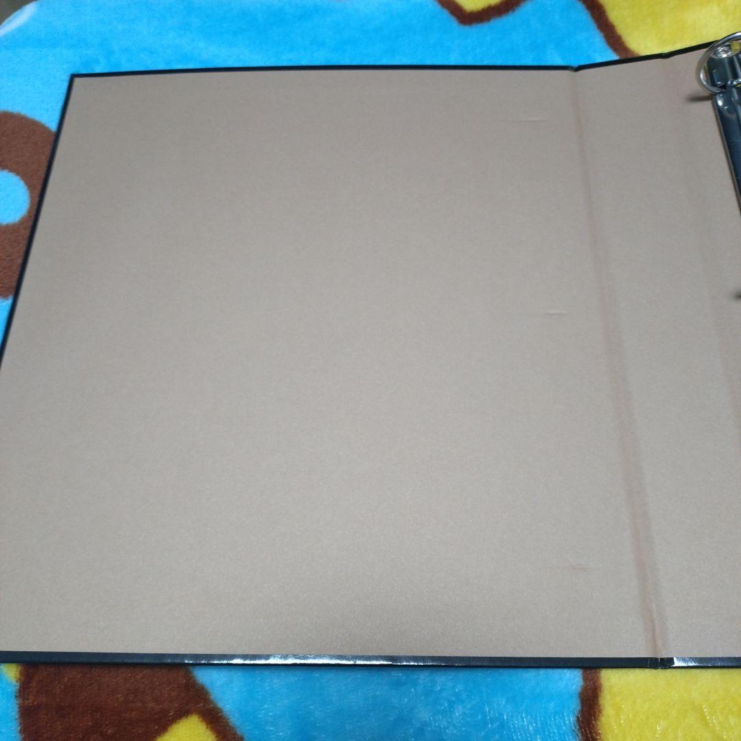 ポケモンカード　海外限定　カードファイル　バインダー　エーフィ　ブラッキー