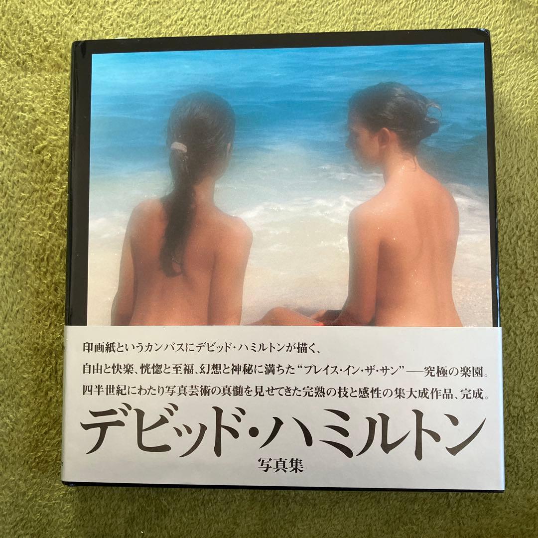 デビッド・ハミルトン 写真集 『陽の当たる場所』帯付き