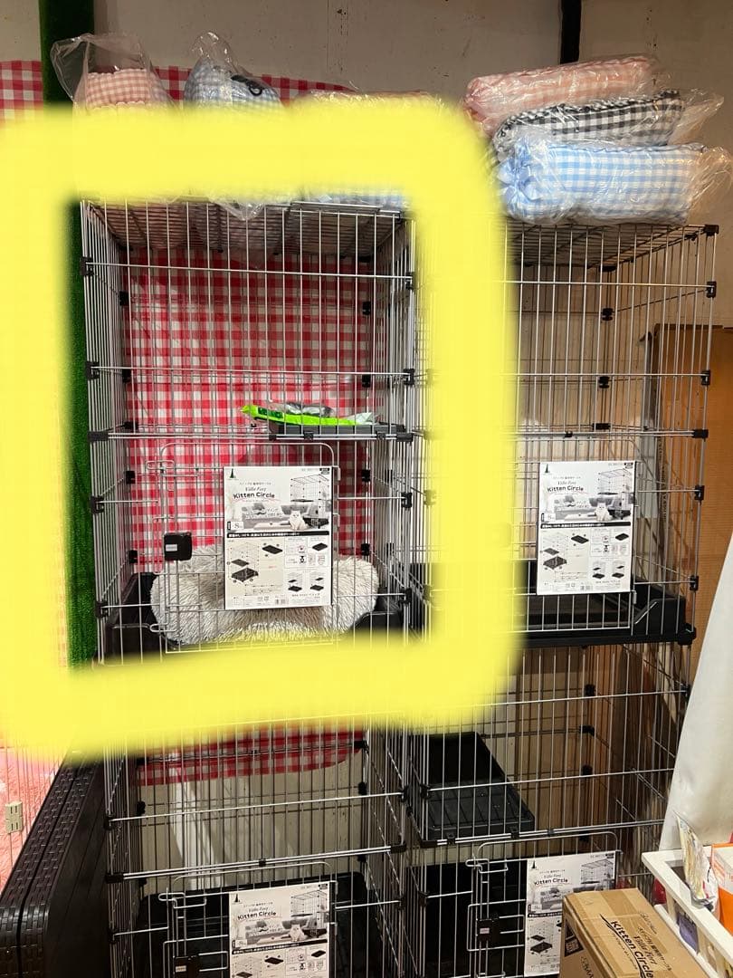 キトンサークル