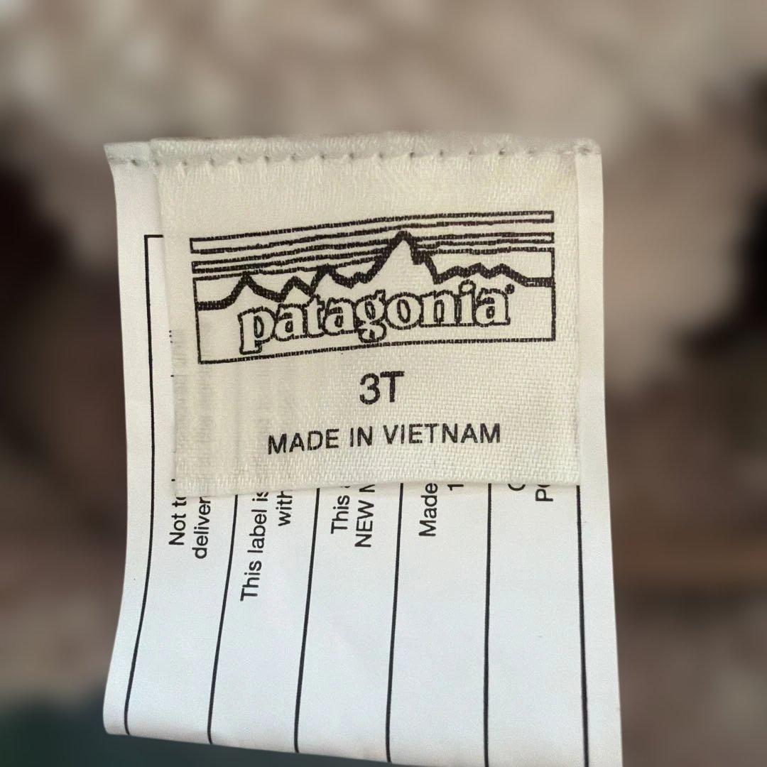 patagonia フード付きダウン