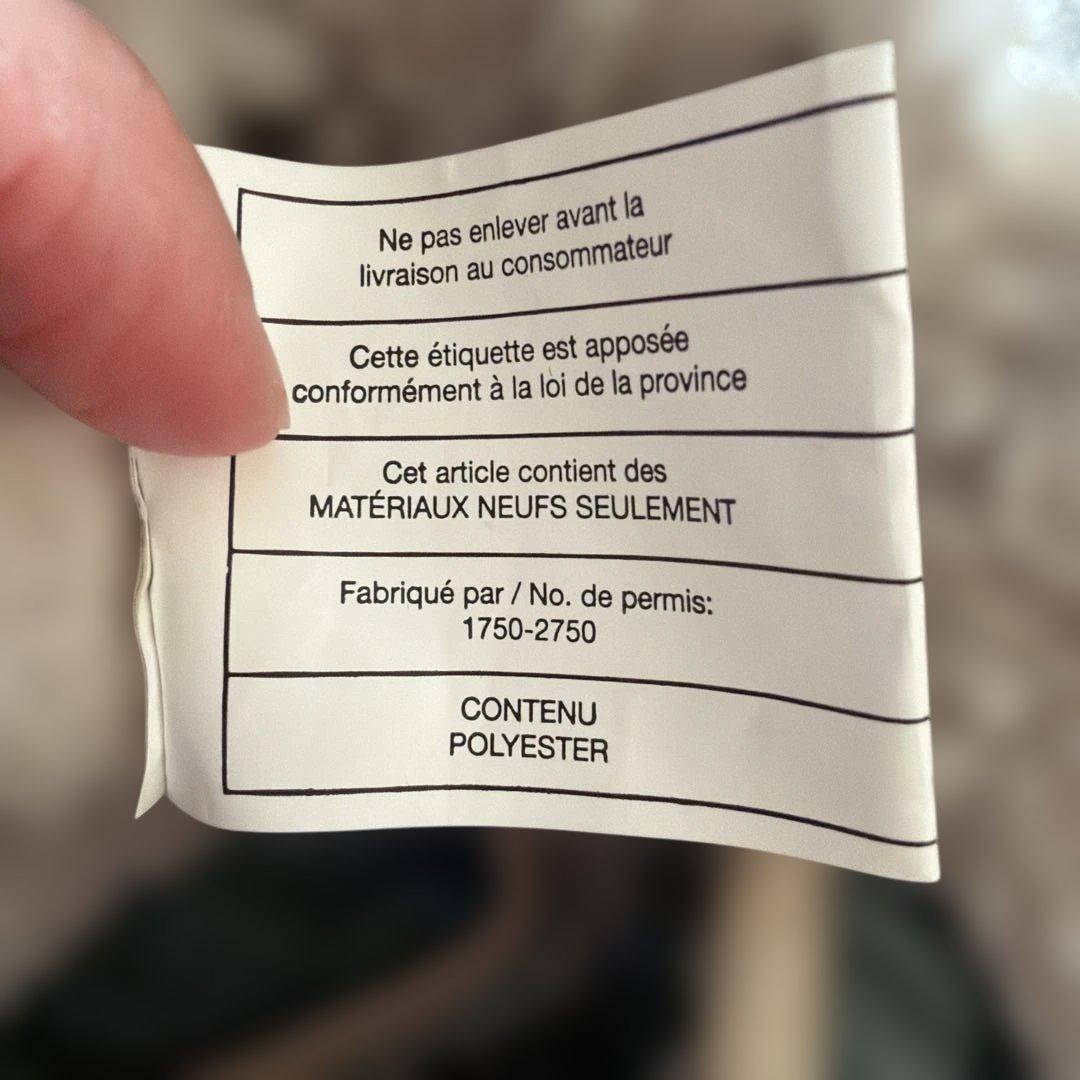 patagonia フード付きダウン