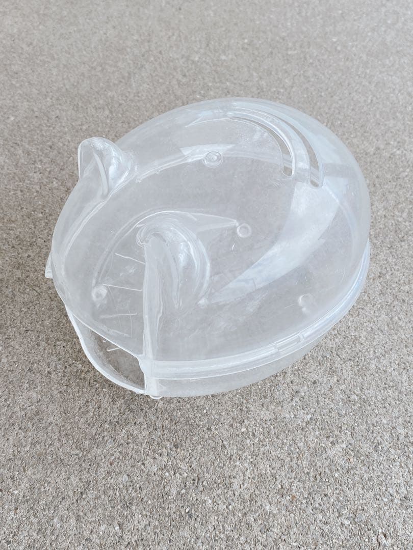 ハムスター　買い始めセット(埼玉県、直接渡しのみ)