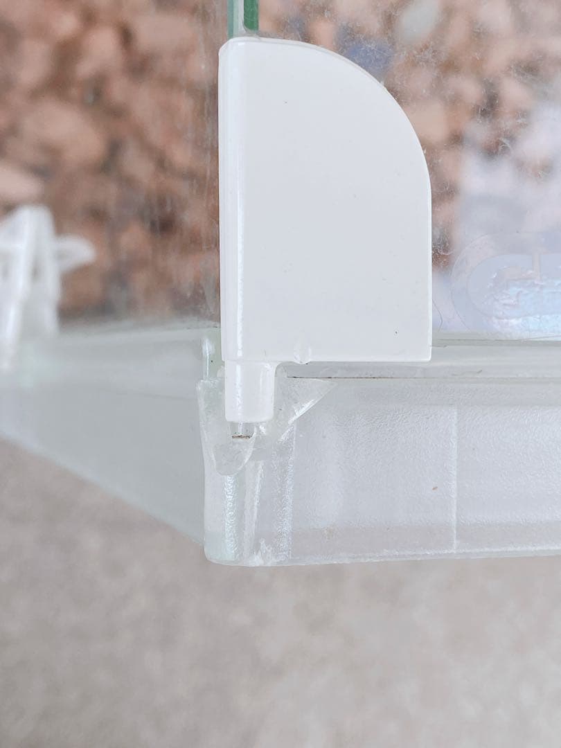 ハムスター　買い始めセット(埼玉県、直接渡しのみ)