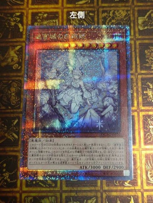 迷宮城の白銀姫 レディオブザラビュリンス　絵違い　クオシク　25th 2枚セット