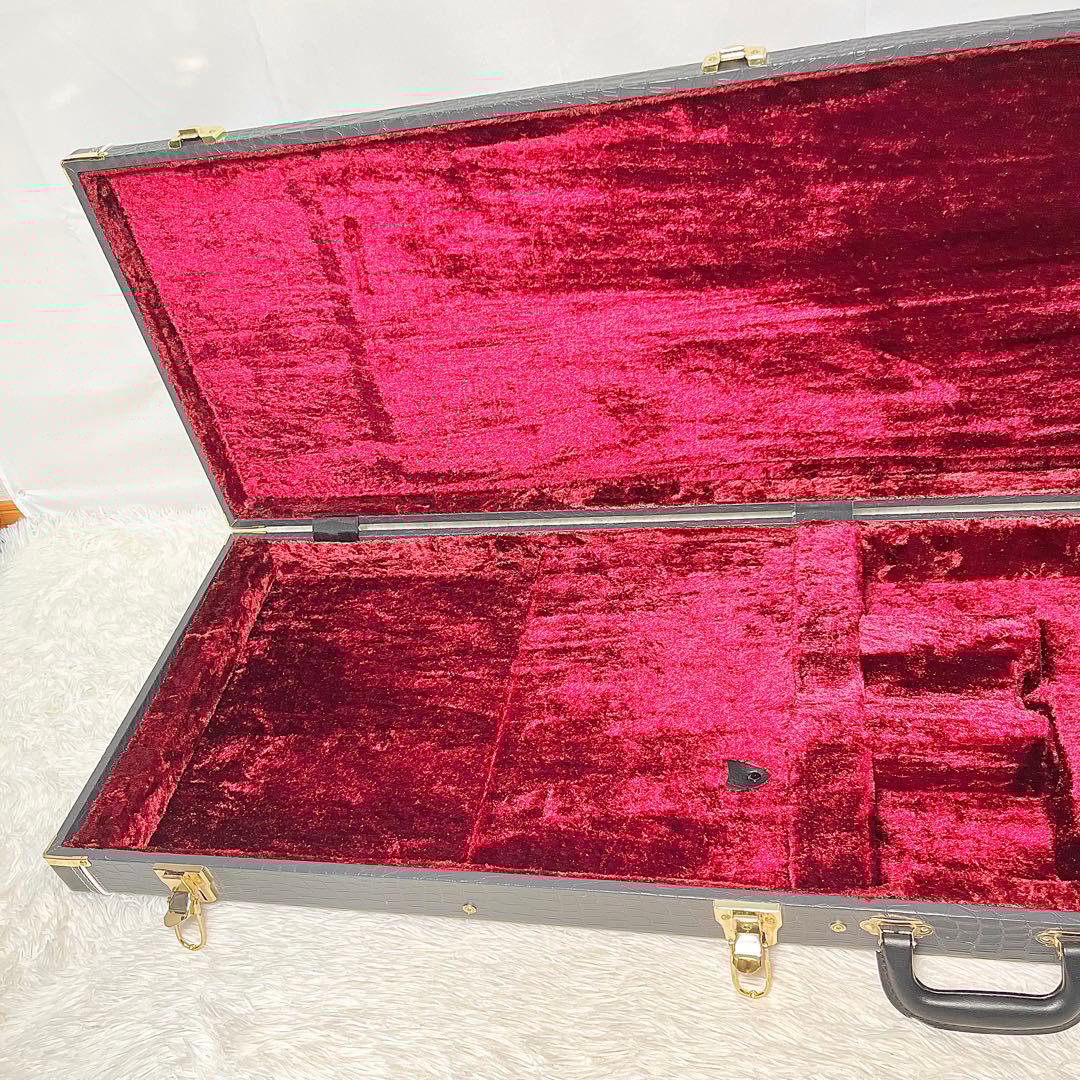 【美品】History 鰐革風 ベース用ハードケース