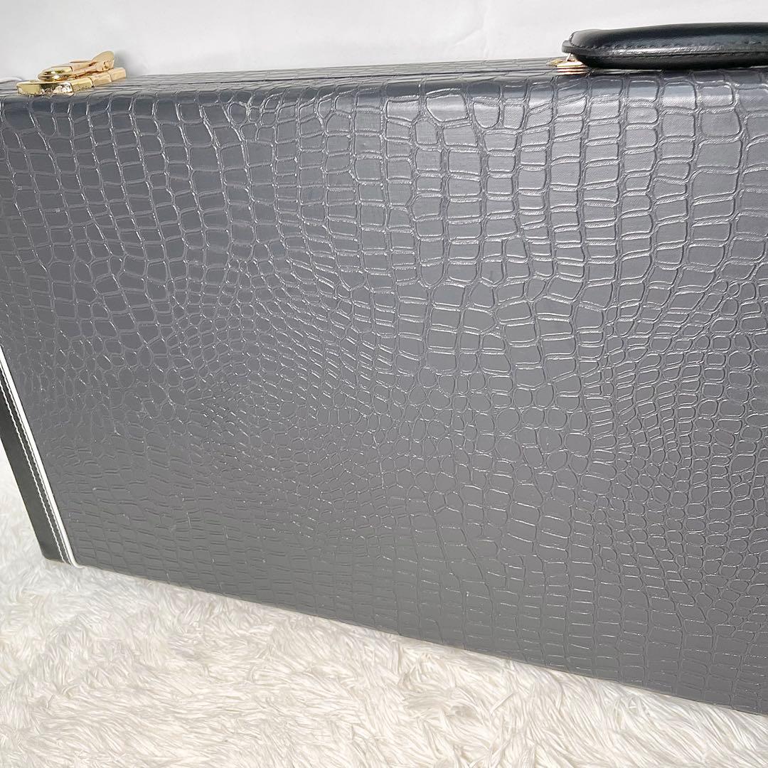 【美品】History 鰐革風 ベース用ハードケース