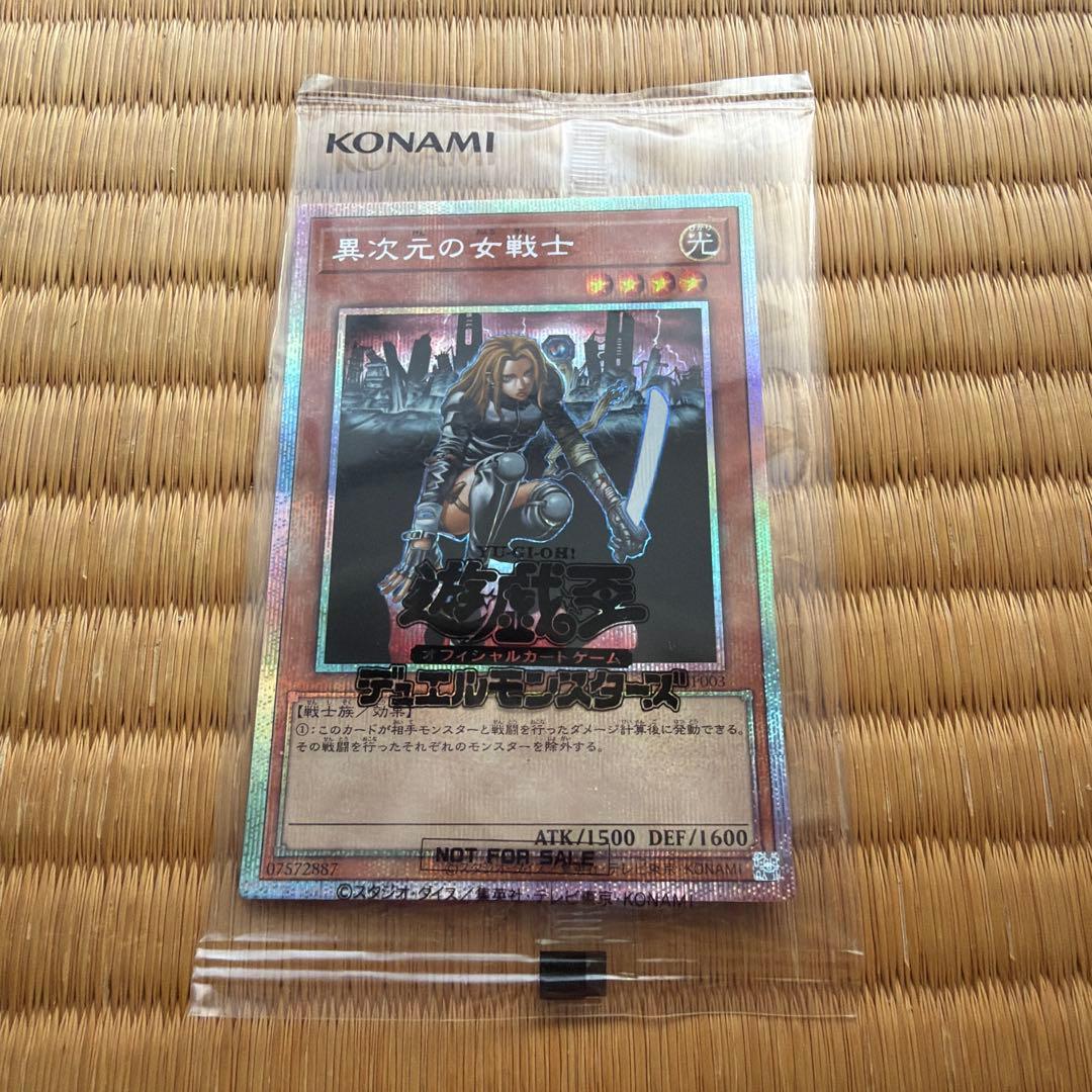 異次元の女戦士　プリズマ