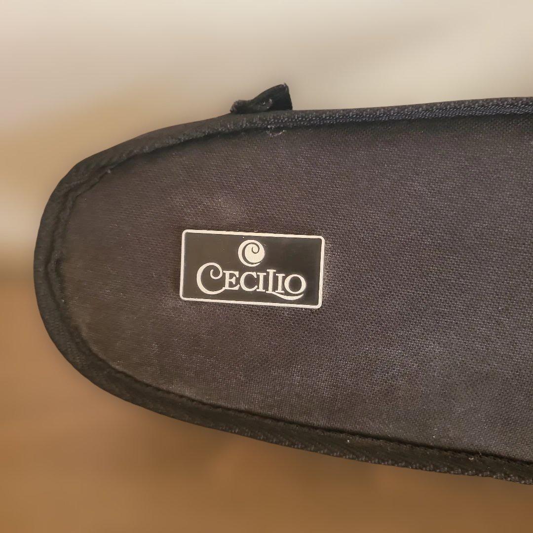 バイオリン1/16 本体と弓2本 ケース付き