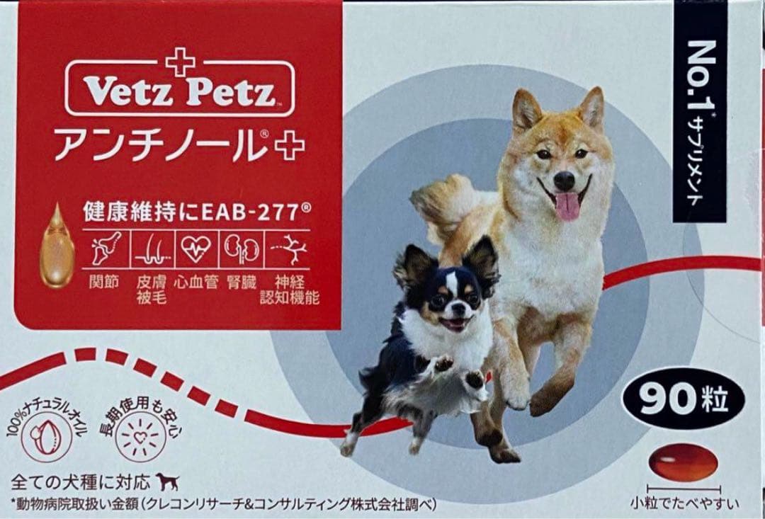 アンチノールプラス300粒