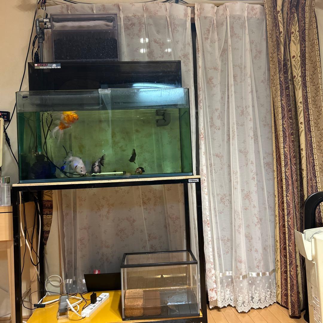 Nikumann ガラス水槽セット