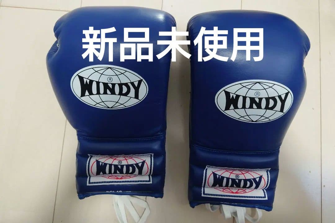 ＷＩＮＤＹ １６オンスグローブ　青　紐式