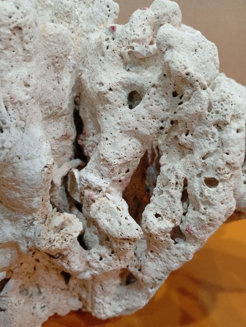 天然ライブロック　デスロック　アクアリウム　白化サンゴ　ハンドメイド