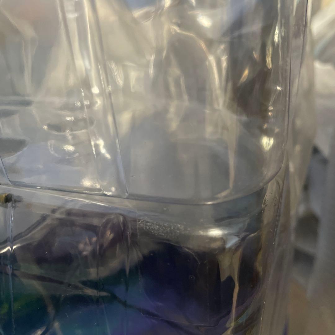 Fate Grand Order 1/7 ランサー/ブリュンヒルデ 限定版