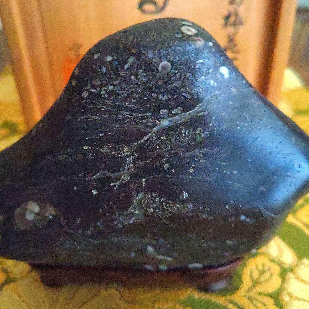 【最終価格】梅花石　銘、鶯の宿　梅の里　日本愛石館館長　小森宗閑翁