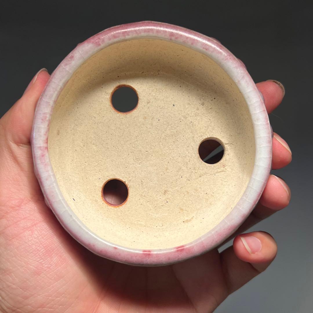 571.秋直 窯変辰砂釉鼓釘丸 盆栽鉢 植木鉢 9.8*3cm