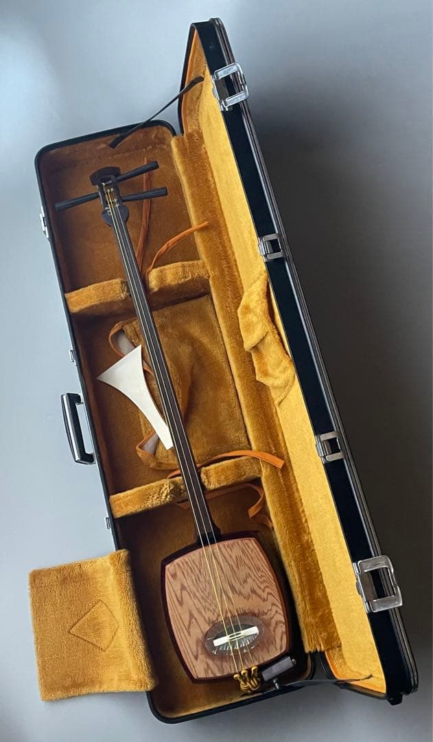 レア楽器　「サバミセン」　エレクトリック対応、撥・ハードケース付き