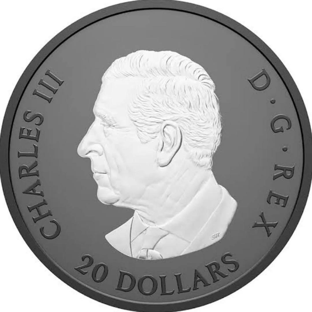 カナダ エレガントメイプルリーフ 銀貨 ブラックロジウム 艶消しプルーフ 保証書