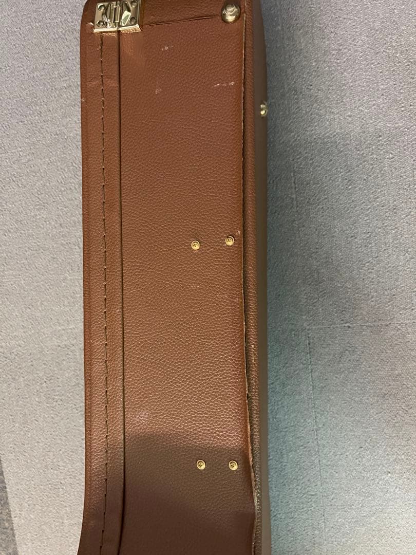 Dean Michael Schenker Exotica エレアコ