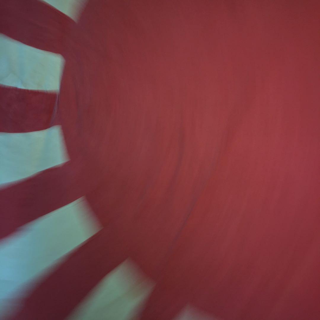 水上艦 旭日旗 （used)