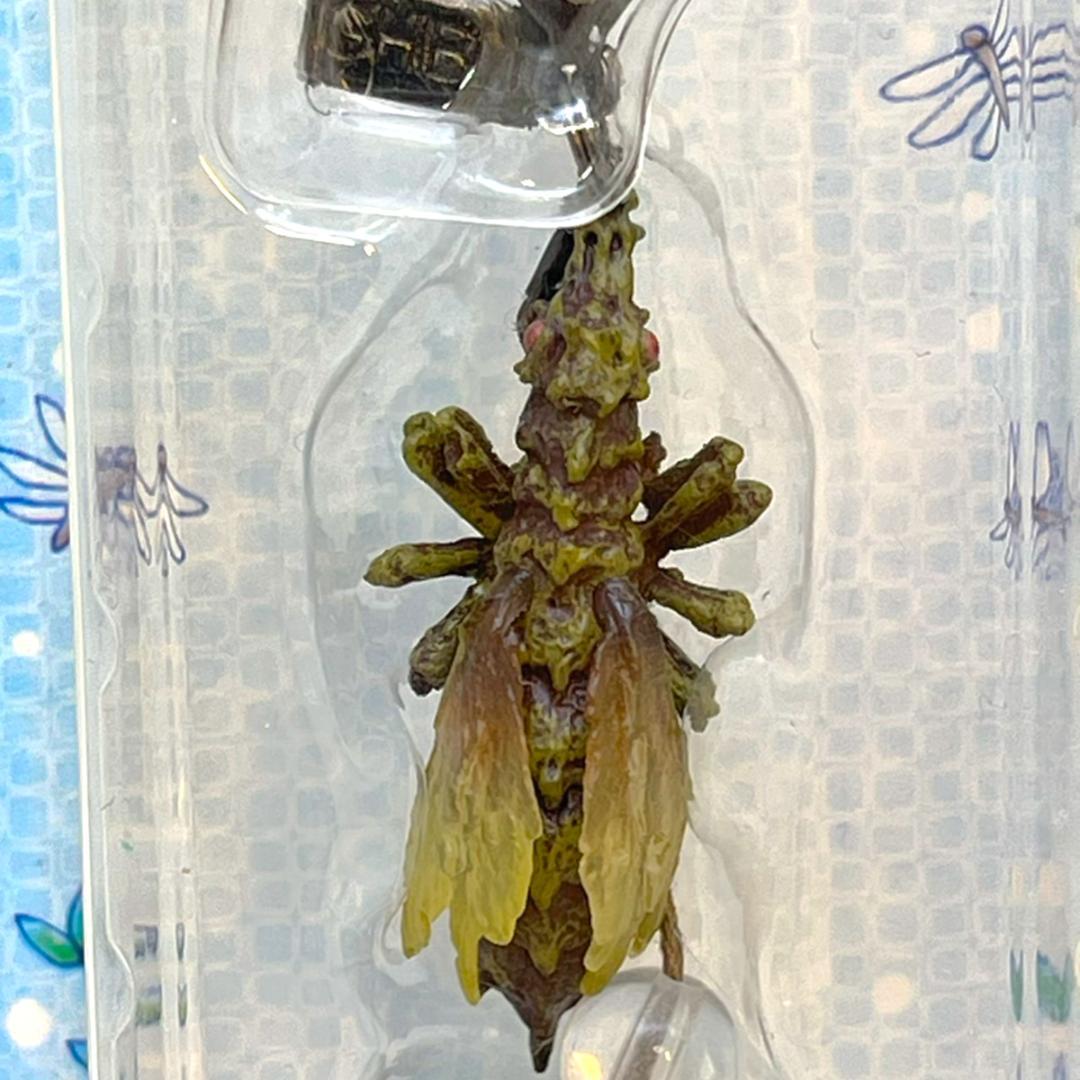 未開封品 レア★風の谷のナウシカ 大王ヤンマ 王蟲 オウム 赤目 フィギュア