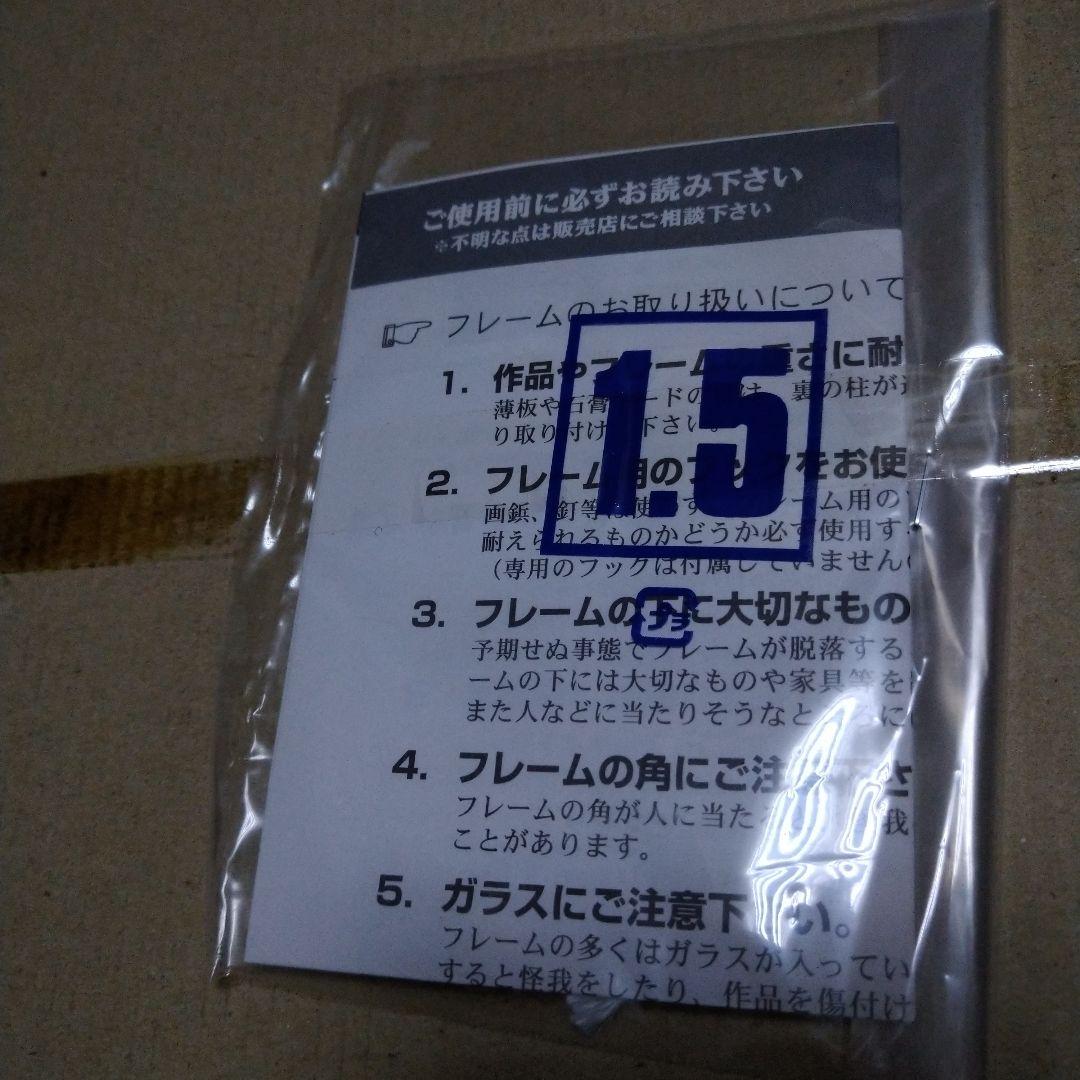 大場正男　みずがめ座　額装