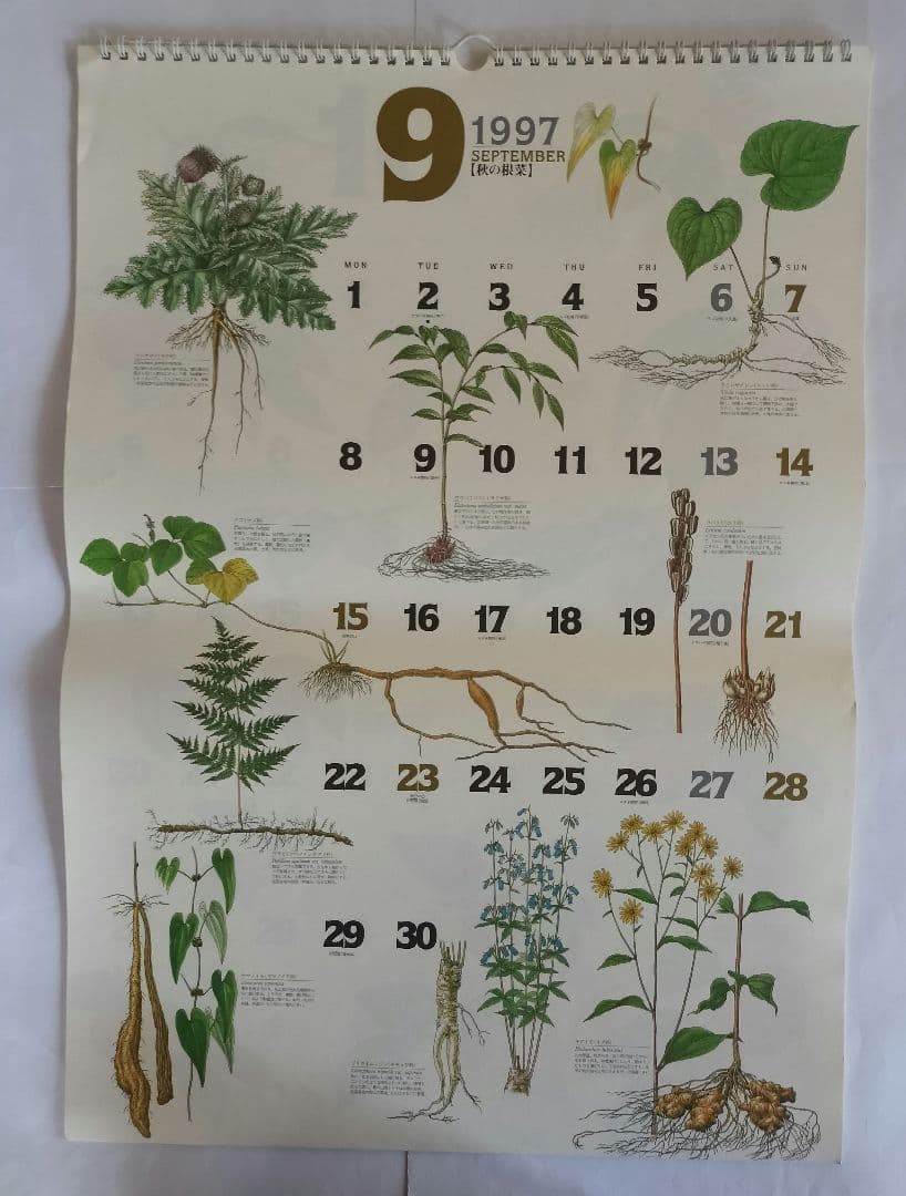 BE-PAL ビーパル カレンダー 新品未使用 1997年　ヴィンテージ