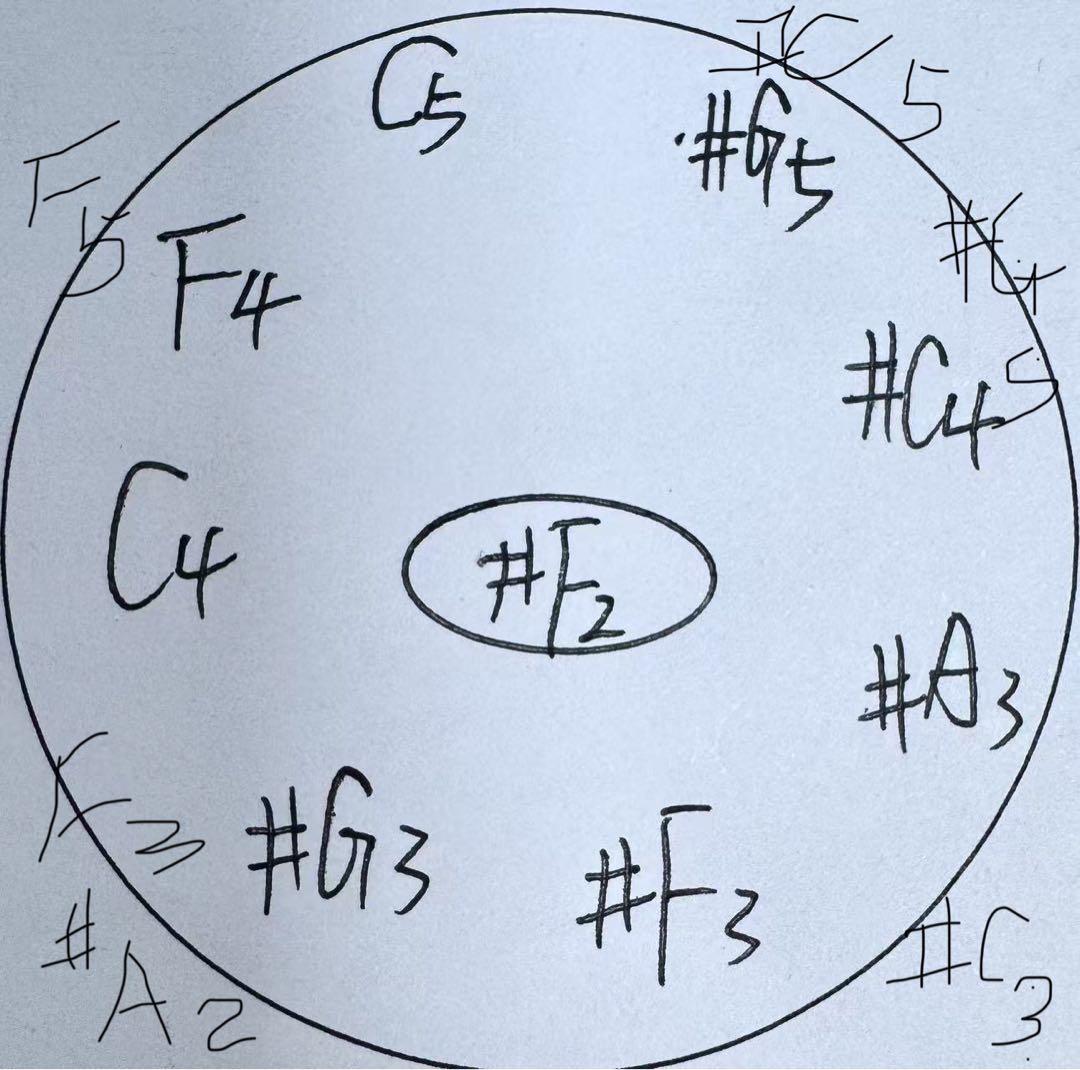 パーカッション・打楽器 LYhandpan F#2 Nordlys15