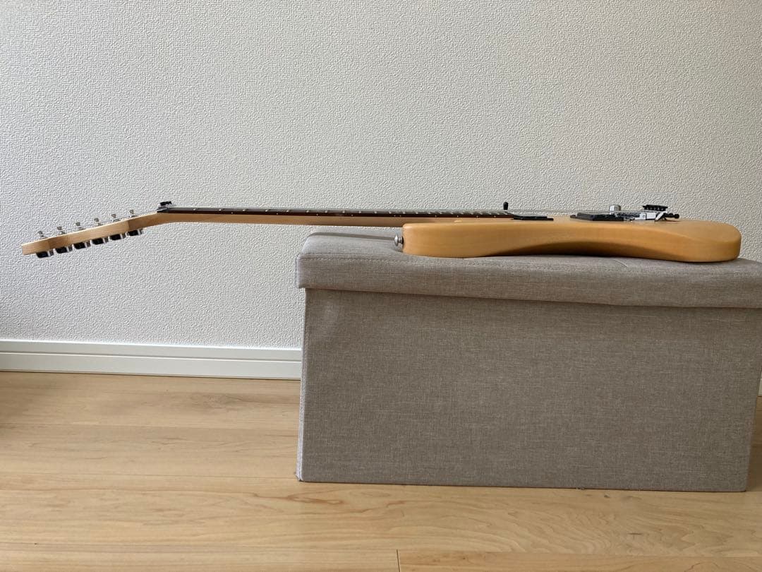 Washburn N2 2021年製